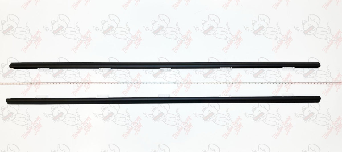 Honda Genuine CIVIC TYPE-R EP3 Door Molding Assy Set Left & Right OEM Japan 6