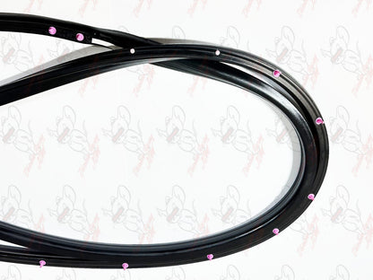MITSUBISHI Genuine Lancer EVO5 EVO6 CP9A Front Door Weatherstrip RH & LH Set 11