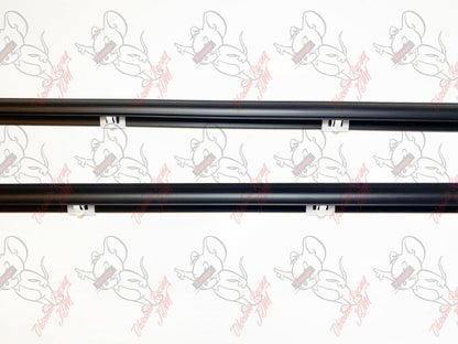HONDA GENUINE CIVIC EG6 EG4 Window Door Molding Weather Strip Outer Pair Set OEM 10