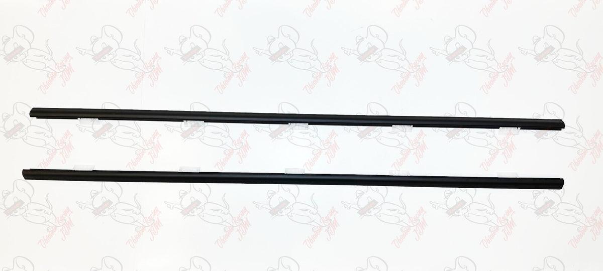 Honda Genuine CIVIC TYPE-R EP3 Door Molding Assy Set Left & Right OEM Japan 5