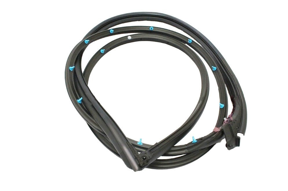 Toyota Genuine GS300/400/430 JZS160 Weather Strip Front Door RH 67861-30251 OEM 4